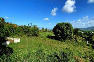Picture of listing #329931667. Land for sale in Le Robert