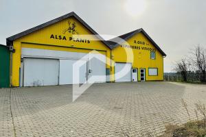 Picture of listing #329934799. Appartment for sale in Wettolsheim