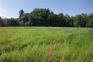 Picture of listing #329948288. Land for sale in Verneuil-sur-Vienne