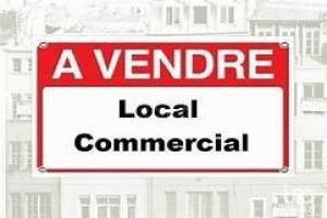 Picture of listing #329958143. Business for sale in Lathuile