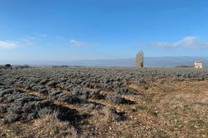 Photo de l'annonce nº 329983063. Terrain à vendre sur Montélimar