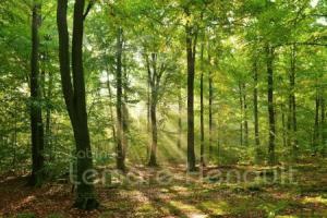 Picture of listing #329983562. Land for sale in Dreux