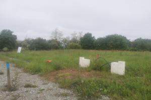 Picture of listing #330000511. Land for sale in Cuélas