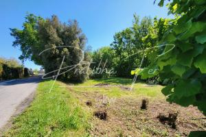 Picture of listing #330002488. Land for sale in Brens