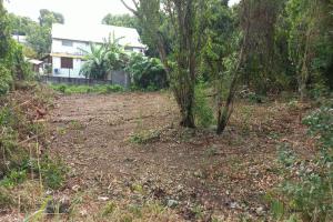 Thumbnail of property #330002974. Click for details