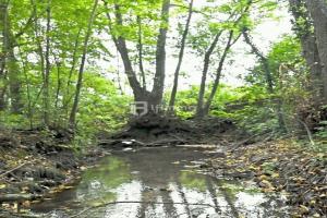 Picture of listing #330028447. Land for sale in Vatry