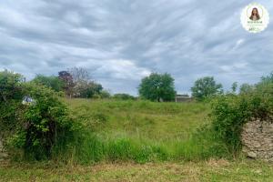Picture of listing #330029853. Land for sale in Saulgé