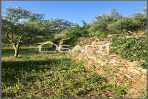 Picture of listing #330045982. Land for sale in Lodève