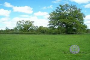 Picture of listing #330069449. Land for sale in Saint-Fiel