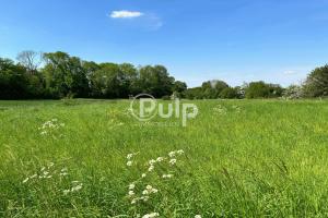 Picture of listing #330101524. Land for sale in Étrun