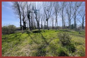 Picture of listing #330121833. Land for sale in Grignols