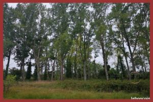 Picture of listing #330121835. Land for sale in Grignols