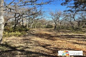 Picture of listing #330128143. Land for sale in Rians