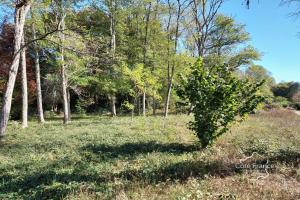 Picture of listing #330139917. Land for sale in Louchats