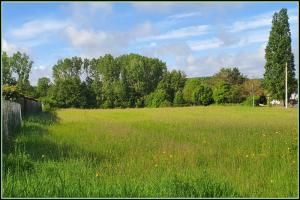 Picture of listing #330159117. Land for sale in Chemillé-sur-Dême