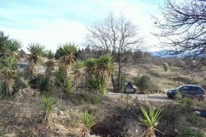 Picture of listing #330183105. Land for sale in Perpignan