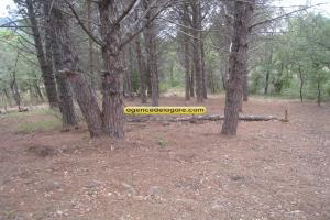 Picture of listing #330183132. Land for sale in Argelès-sur-Mer