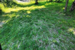 Picture of listing #330185560. Land for sale in Mauressac