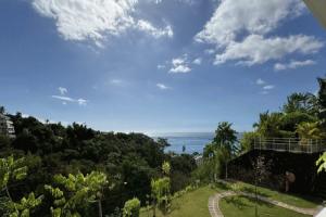 Picture of listing #330188071. Appartment for sale in Papeete