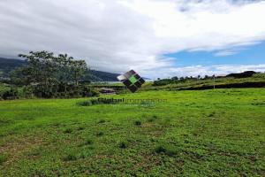 Picture of listing #330208759. House for sale in Afaahiti