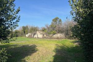 Picture of listing #330214131. Land for sale in Saint-Rémy-de-Provence