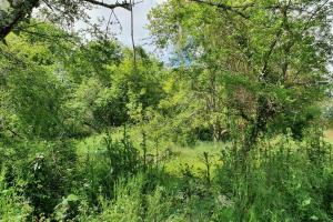 Picture of listing #330222863. Land for sale in Léon