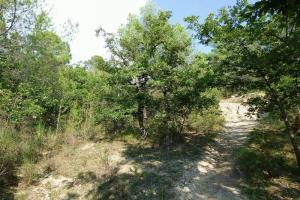 Picture of listing #330228099. Land for sale in Montauroux
