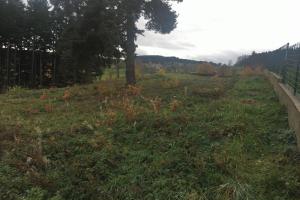 Picture of listing #330233824. Land for sale in Dunières