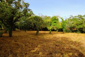 Picture of listing #330237236. Land for sale in Saint-Julien-l'Ars