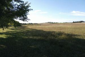 Picture of listing #330256646. Land for sale in Consac