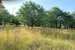 Picture of listing #330297255. Land for sale in Cahors