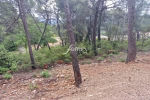 Picture of listing #330303572. Land for sale in Salernes
