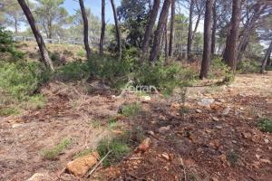 Picture of listing #330303573. Land for sale in Salernes