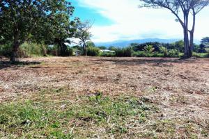Picture of listing #330305682. Land for sale in Taravao