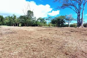 Picture of listing #330305685. Land for sale in Taravao