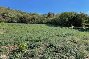 Picture of listing #330310424. Land for sale in Dommartin