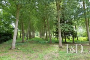 Picture of listing #330322254. Land for sale in Antoigné