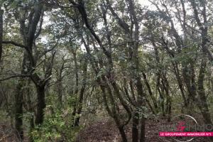 Picture of listing #330323085. Land for sale in Octon