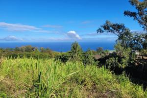 Picture of listing #330326328. Land for sale in Le Piton Saint-Leu