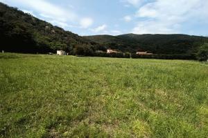 Picture of listing #330328891. Land for sale in Arles-sur-Tech