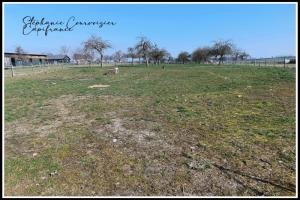 Picture of listing #330359021. Land for sale in Asswiller