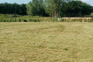 Picture of listing #330361182. Land for sale in Doudeville
