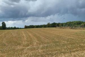 Picture of listing #330369177. Land for sale in Champagnac-de-Belair