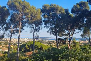 Picture of listing #330369317. Appartment for sale in Toulon