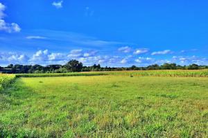 Picture of listing #330370204. Land for sale in Cerizay