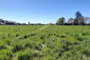 Picture of listing #330383934. Land for sale in Riupeyrous