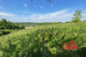 Picture of listing #330394366. Land for sale in Doulevant-le-Château