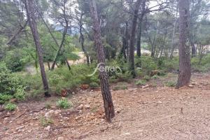 Picture of listing #330394910. Land for sale in Salernes
