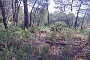 Picture of listing #330394918. Land for sale in Salernes