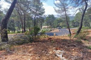 Picture of listing #330394924. Land for sale in Salernes